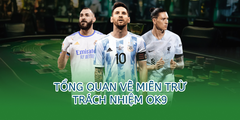 Miễn trừ trách nhiệm OK9 – Minh bạch và công bằng cho mọi người chơi 1 Tổng quan về miễn trừ trách nhiệm ok9